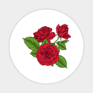 Bouquet of red roses Magnet